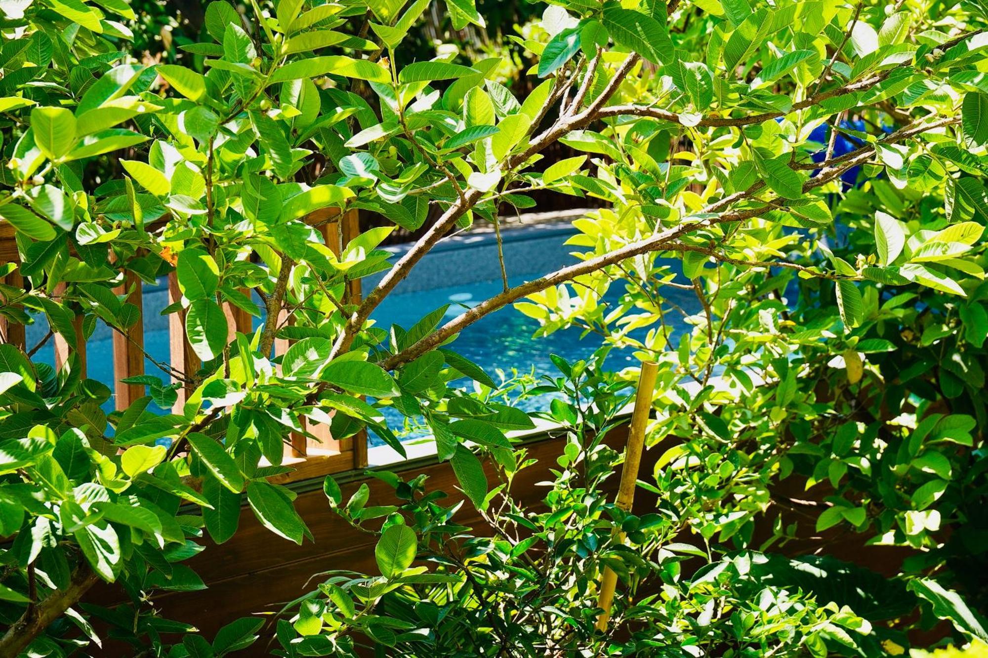 אדמת הארץ - Admat Haaretz Villa Hazon Ngoại thất bức ảnh