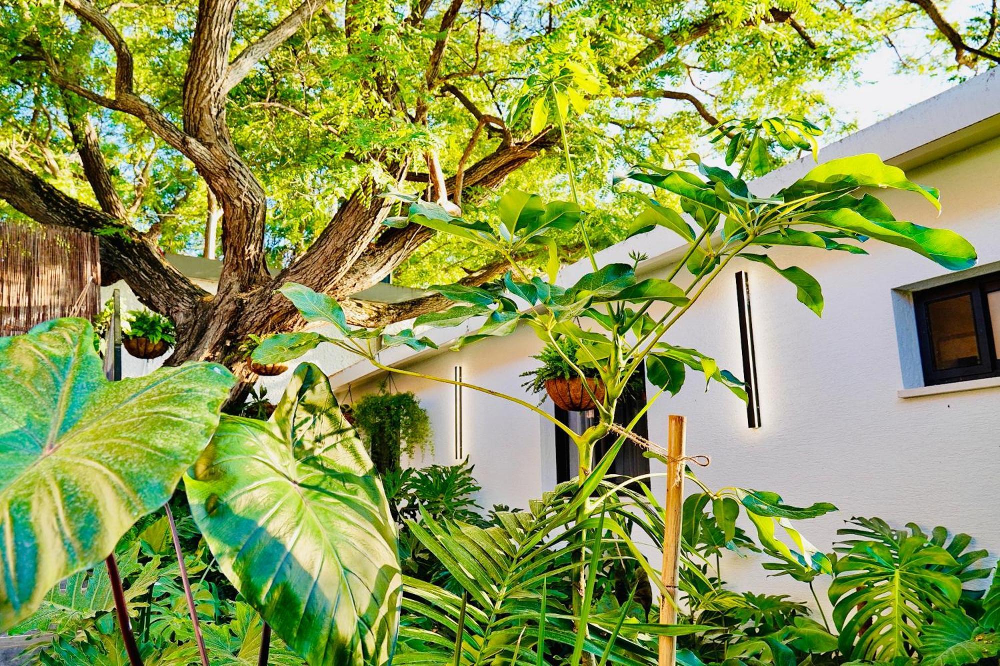 אדמת הארץ - Admat Haaretz Villa Hazon Ngoại thất bức ảnh